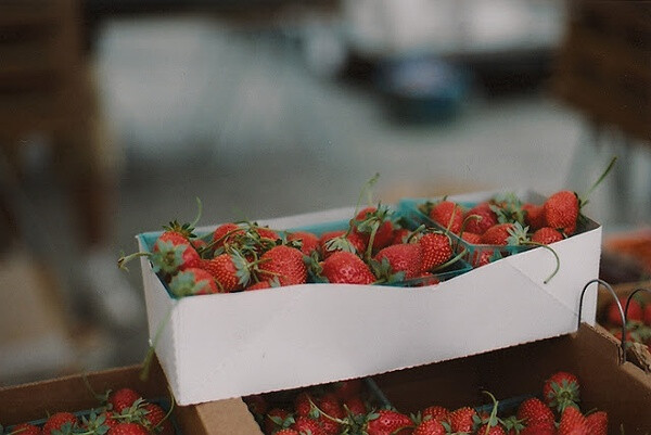 水果 橙 奇异果/猕猴桃 柚子 苹果 芒果 柠檬 牛油果 梨 车厘子/樱桃 木瓜 榴莲 枣 释迦 枇杷 冻干水果 桃 草莓 水果罐头 石榴 葡萄/提子 新鲜 进口 美国进口 多汁 有机 时令 原生态 富硒 营养 野生 超甜 爽口 美味 速冻 现挖 水果 植物 石榴 fruits 维生素 甜品 
