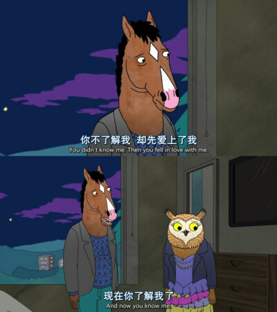 【马男波杰克】BoJack Horseman/旺达/生活/爱情/讽刺/文字/句子/经典句子/台词/毒鸡汤/动漫/二次元/截图