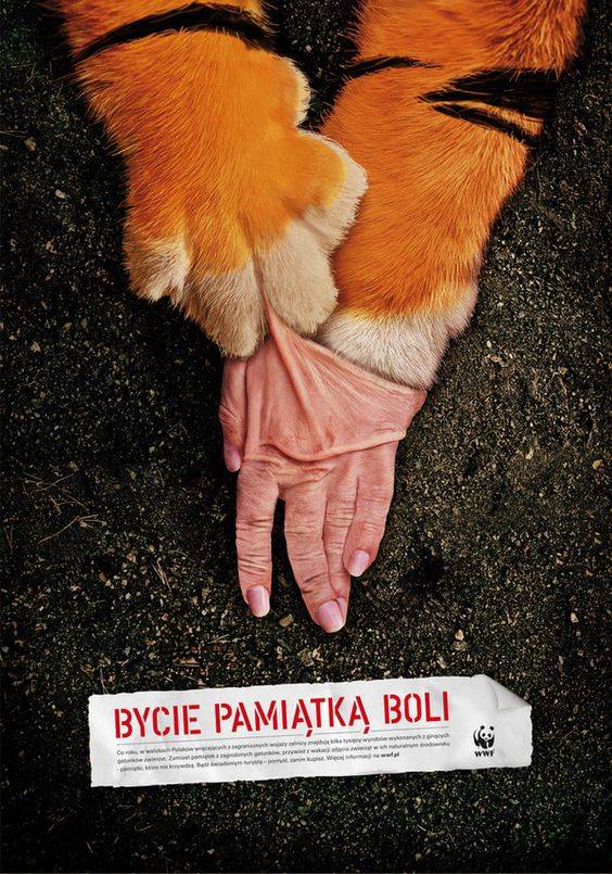 海报设计一组 | WWF 来自微博 意匠id