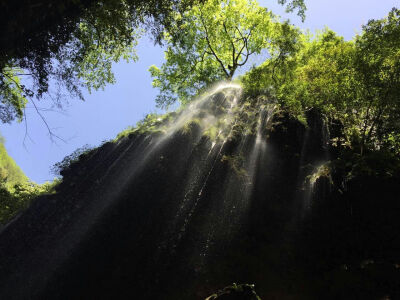 风景