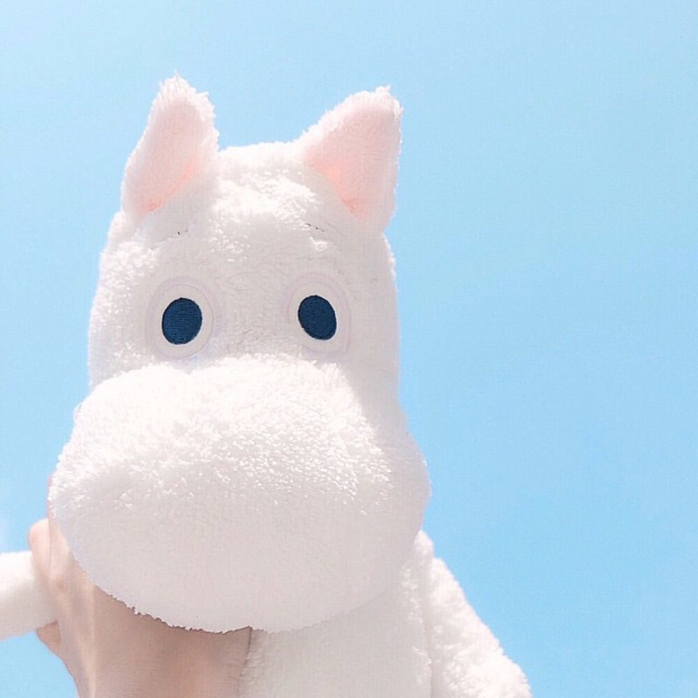 Moomin♡