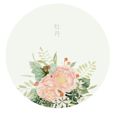 水彩插画，花，小清新，简约，淡雅