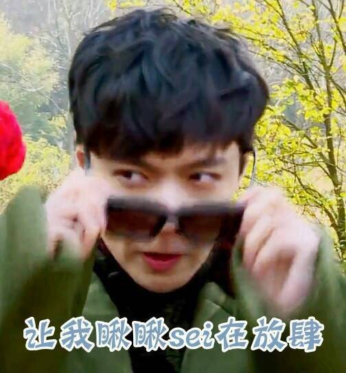 ＃张艺兴＃ ＃lay＃ 表情包