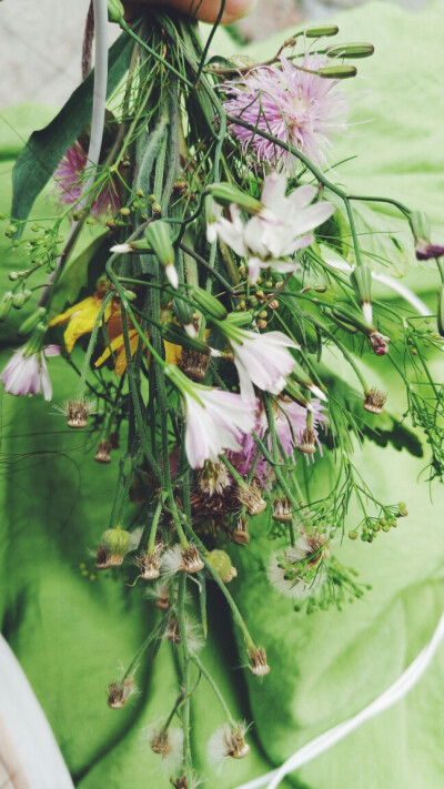 绿色 风景 花 壁纸