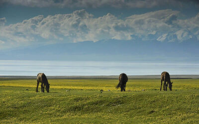 赛里木湖～