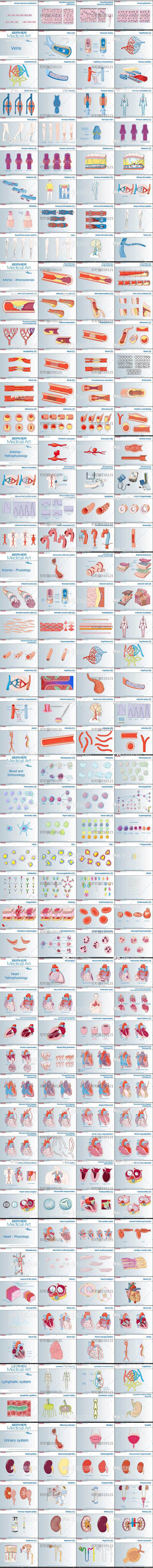 科研临床生物学绘图高大上终极PPT模板素材汇报答辩海报论文4002-淘宝网