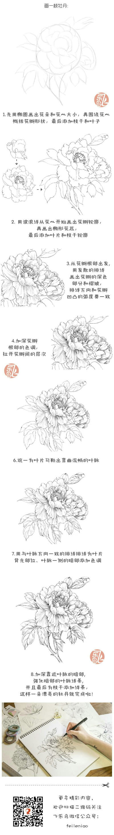 by飞乐鸟 转载自飞乐鸟的新浪微博。。
啊~牡丹~百花丛中最鲜艳，出自《黑白花之绘》