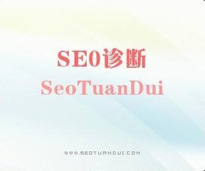 SEO诊断