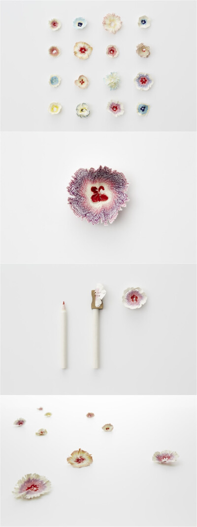 Paper Flower by Haruka Misawa
铅笔花