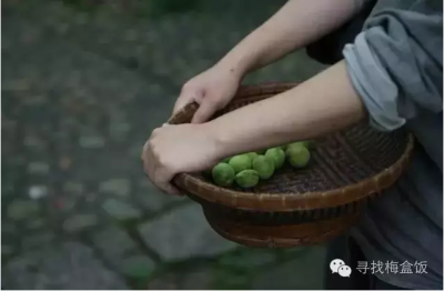 青梅 青梅浓缩浆 青梅饮 寻找梅盒饭 梅盒饭 厦门共支 共支 昔物所