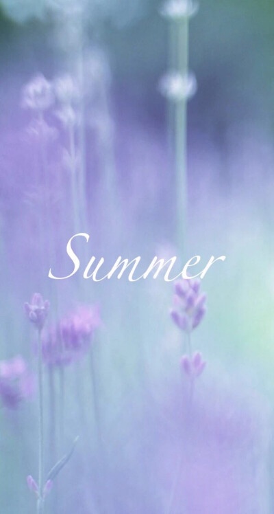 purple summer