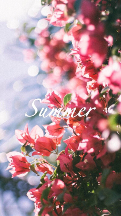 i am summer