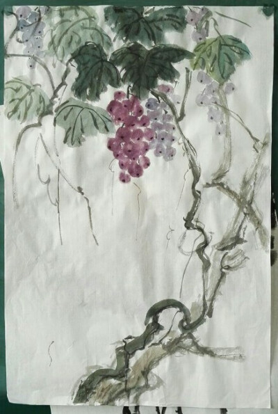 花鸟