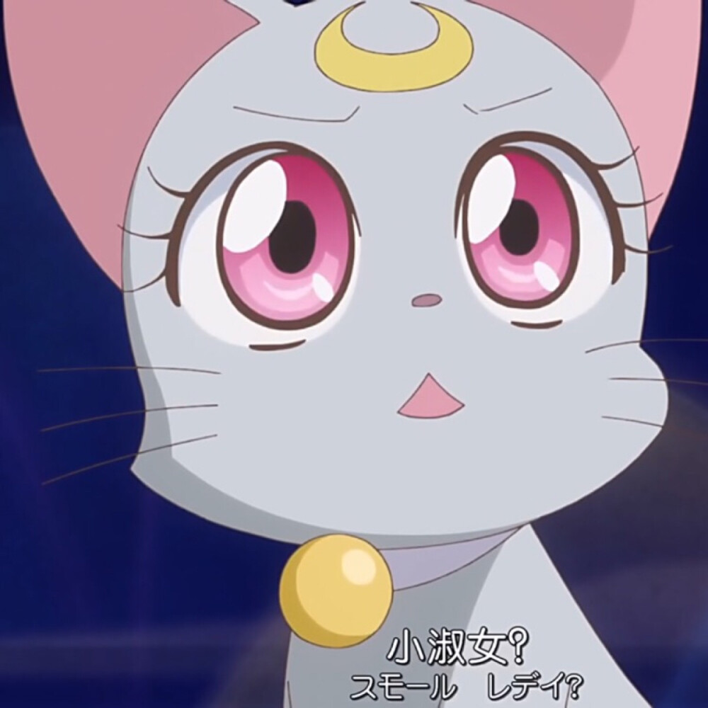 美少女战士猫咪水冰月戴安娜赞评论2更多