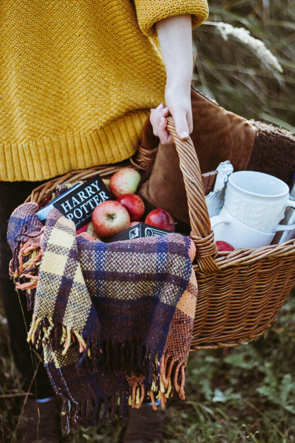 picnic in the woods