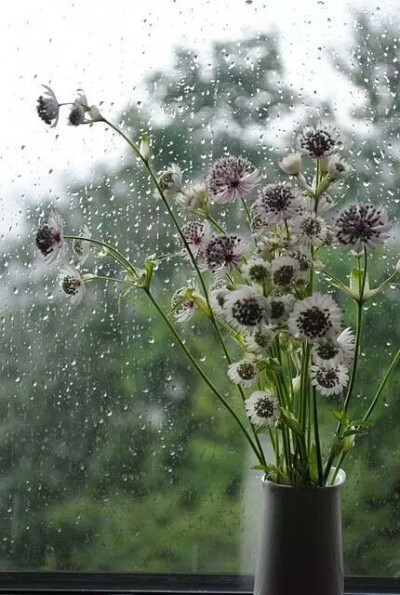 雨 是上天给予我们的恩泽