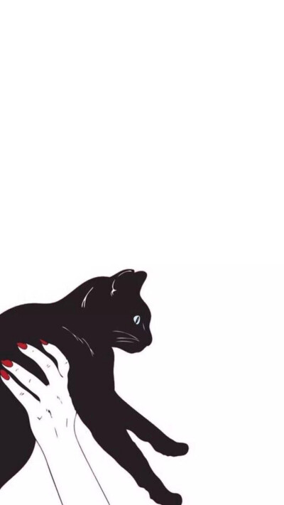 黑猫 纯色