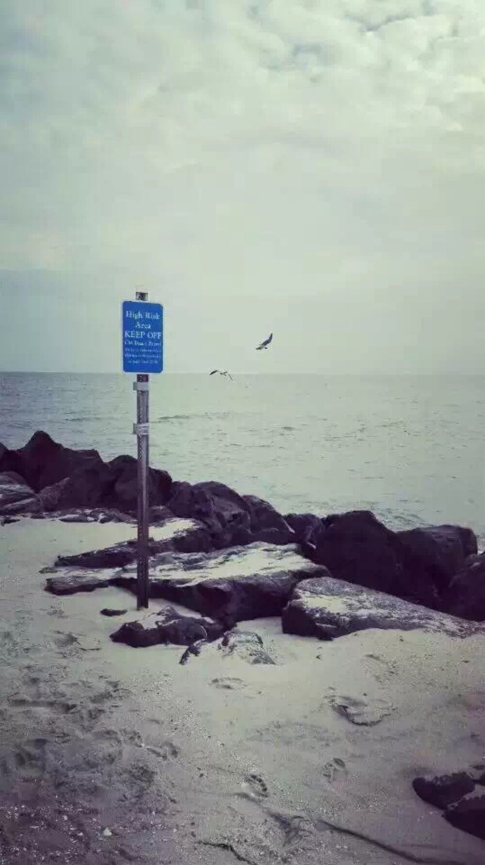 一起去看海