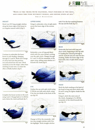 刺绣启示-鸟刺绣