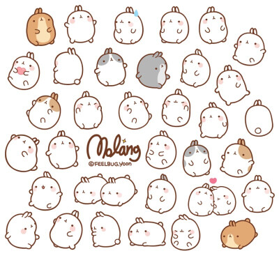 molang·