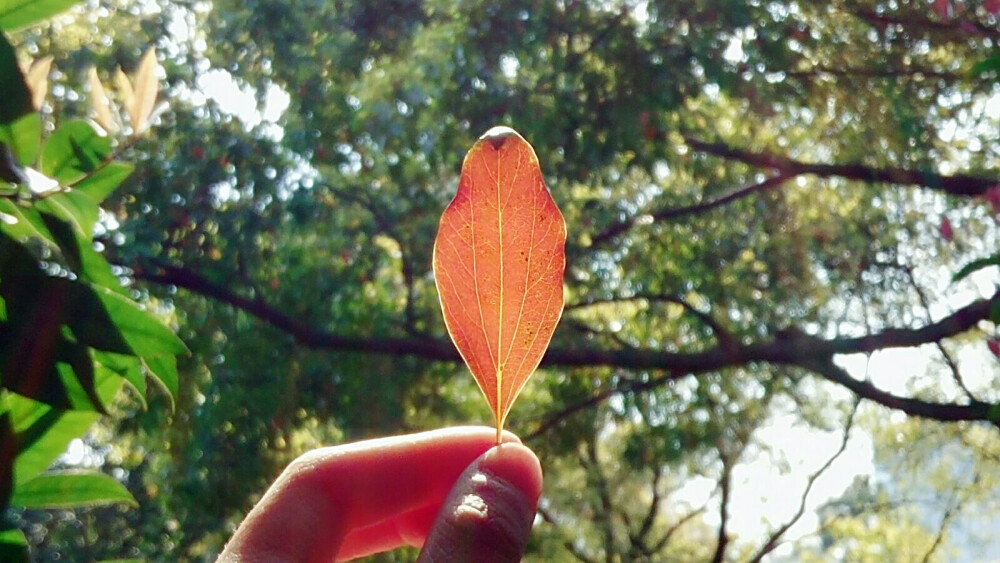 今天阳光很好，我要去见你。换上简单的衣服，带上你爱的酸奶，躲着三月的太阳，快步走在树荫里。在我们约好的地方，远远看到熟悉的你。气喘吁吁地跑过来，对不起，我来晚了。