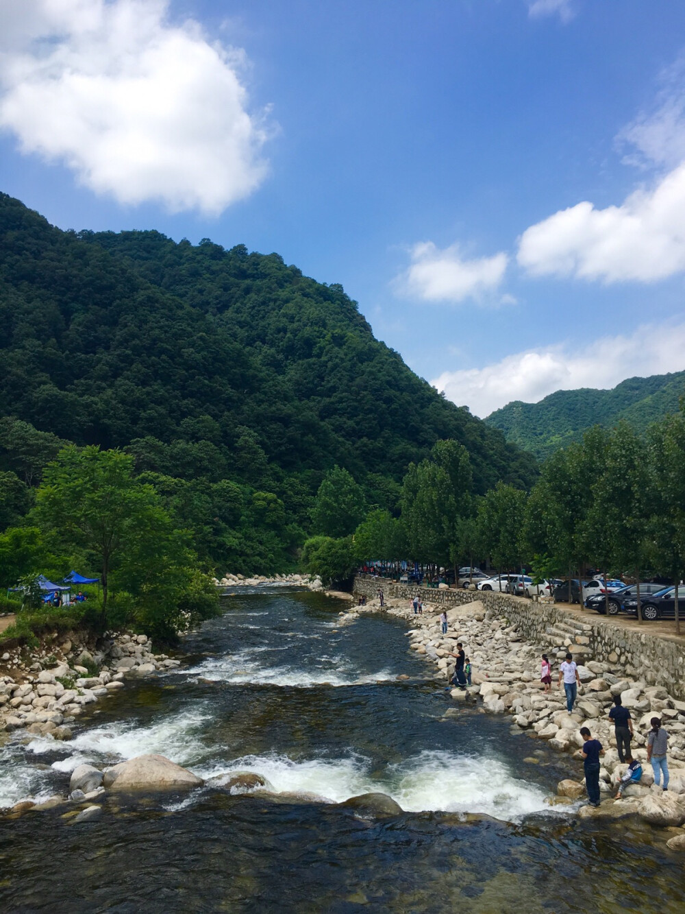 秦岭•沣峪口