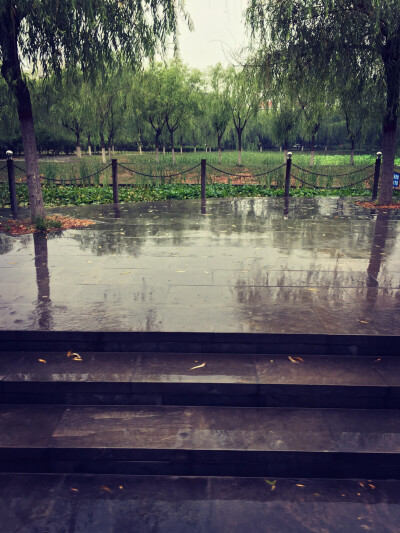 难得的雨天