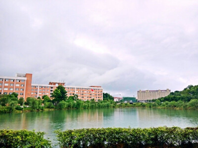 啊啦～下雨的话，空气还是很好的呢！