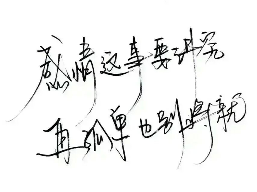 玩网壁纸 文字句子