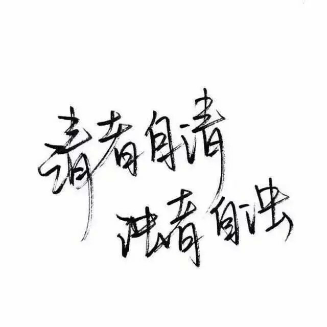 玩网壁纸 文字句子