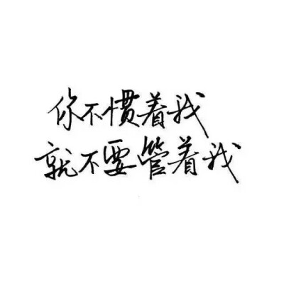 玩网壁纸 文字句子