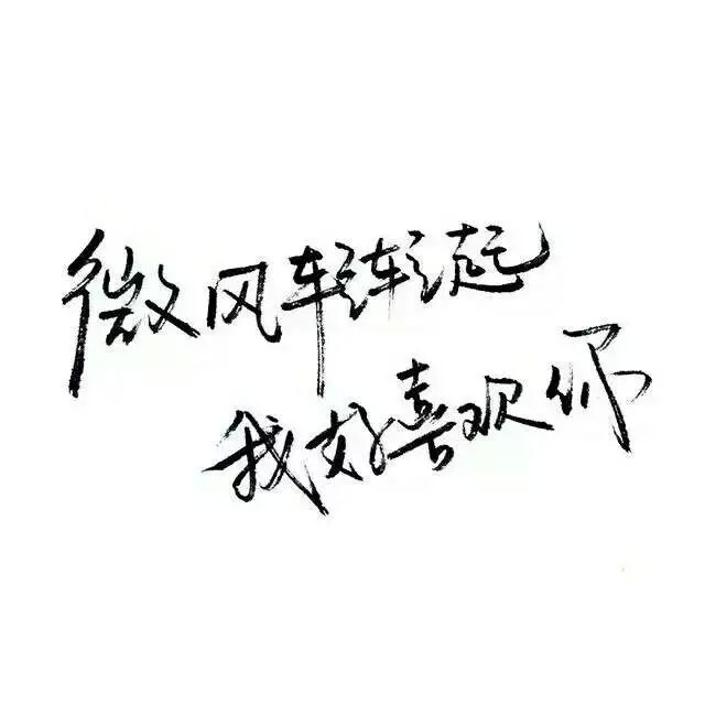 玩网壁纸 文字句子