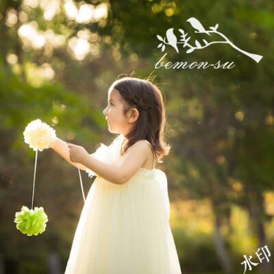 简约时尚剪影防盗水印设计制作鸽子清新水印水印制作 柠檬诉07-