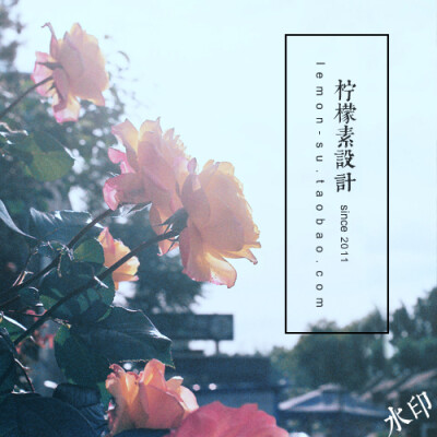 水印设计 防盗水印logo 水印制作 透明 简约水印定制 柠檬诉02-