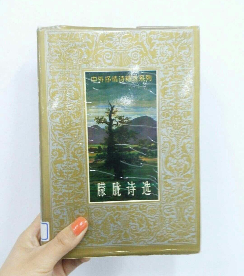 《朦胧诗选》