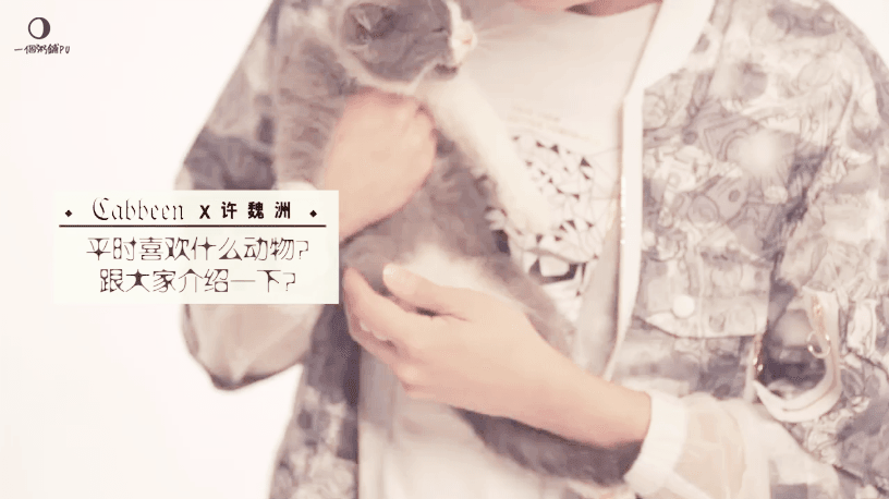 和猫咪在一起 从头到脚都无比温柔的洲洲~
cr. @一个粥铺