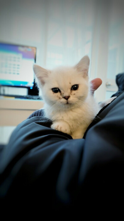 脸上还有奶藓呢