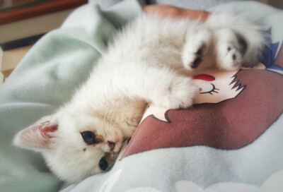 在姐姐怀里各种乖巧