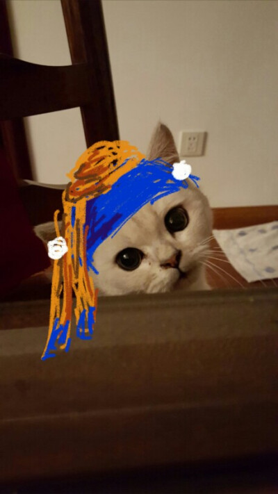 戴珍珠耳环的少男