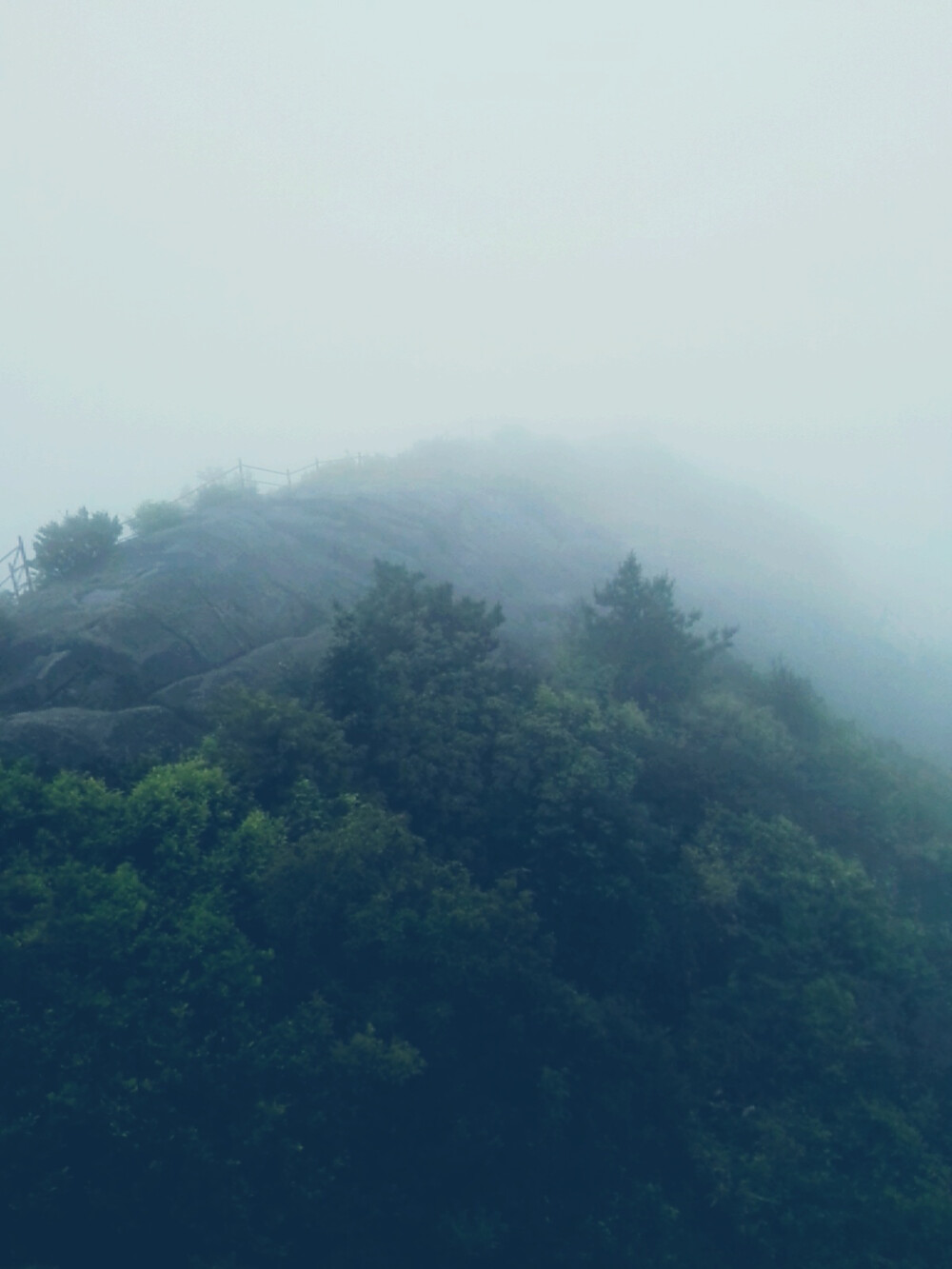 诗在千山烟雨中