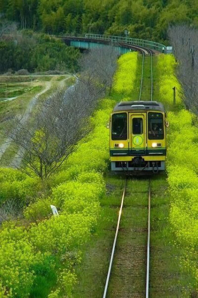 铁路 - 千叶县，日本