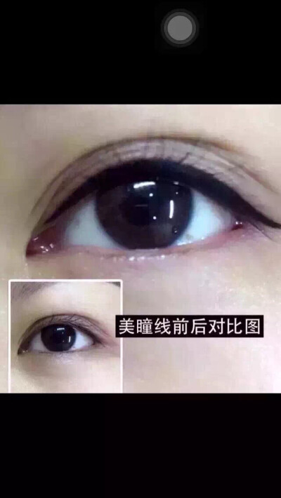 纹眉