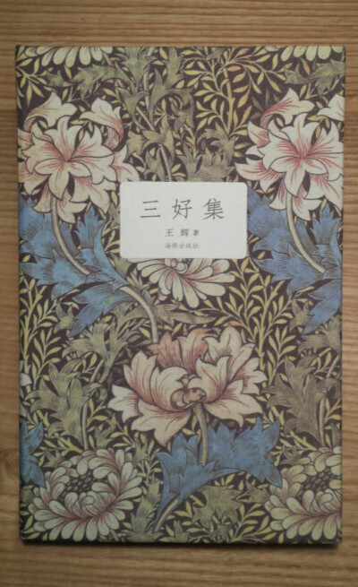 《三好集》
作者：王辉
版别：海豚出版社
本书多为作者回忆，都是篇幅短小的随笔。内容褒贬不一，感兴趣的读者不妨一读。