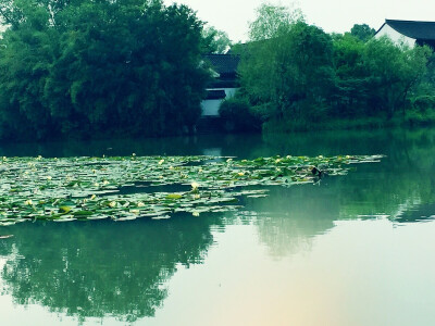 西溪湿地