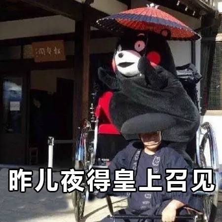 熊本kumamonの甄嬛后传