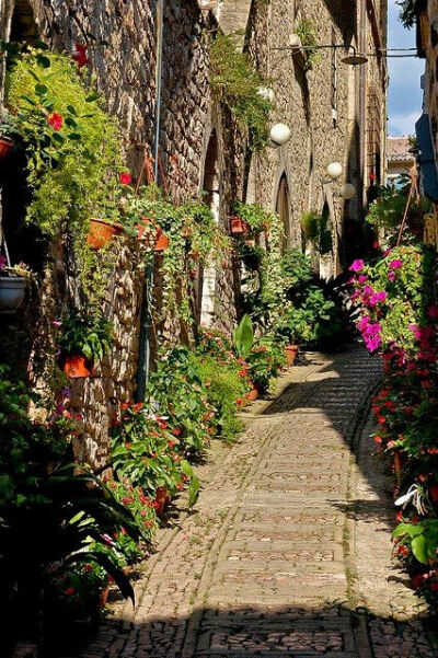 #欧洲旅游推荐# Spello——意大利斯佩罗小镇-最古罗马的小镇，这里不是人们旅行的热门目的地，也许少有人曾听闻它的名字。只是当你不经意间驾车经过，偶然一瞥，会被这满城的灿烂鲜花攫取了全部的心神。
