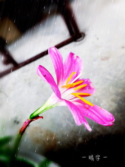 下雨天。今天的雨声不是那么好听，啪嗒啪嗒的！