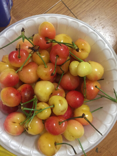 Yellow cherries! You can't tell the fresh taste