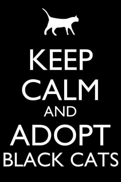 keep calm and adopt a black Kitty ❤～ from Pinterest