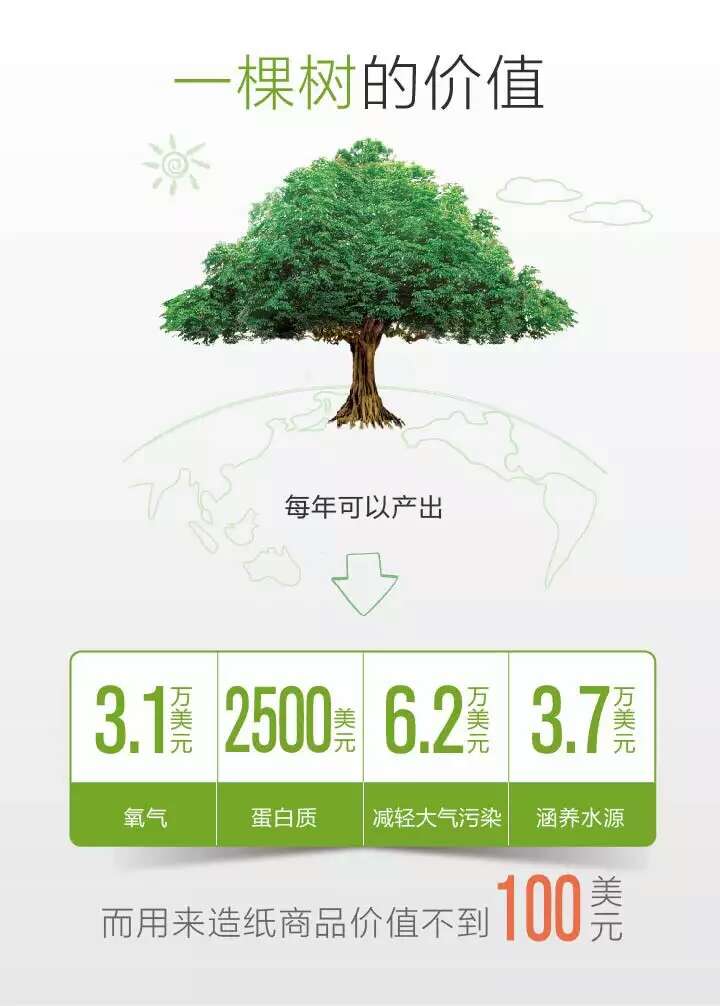 保护树木，保护环境，爱护我们的家园！